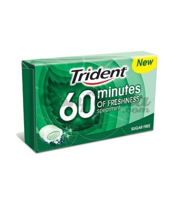 Trident 60 Minutos Spearmint c/16